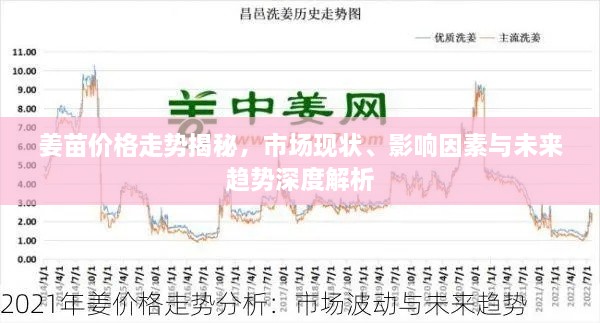 姜苗價(jià)格走勢(shì)揭秘，市場(chǎng)現(xiàn)狀、影響因素與未來(lái)趨勢(shì)深度解析