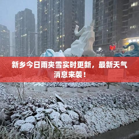 新鄉(xiāng)今日雨夾雪實時更新，最新天氣消息來襲！