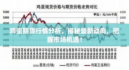 雞蛋期貨行情分析，揭秘最新動(dòng)向，把握市場(chǎng)機(jī)遇！