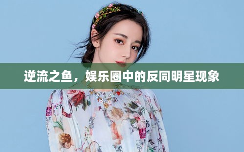 逆流之魚，娛樂圈中的反同明星現(xiàn)象