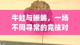 牛蛙與蜥蜴，一場不同尋常的競技對決