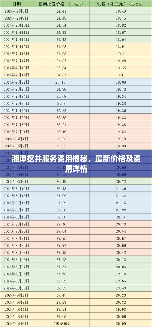 湘潭挖井服務費用揭秘，最新價格及費用詳情