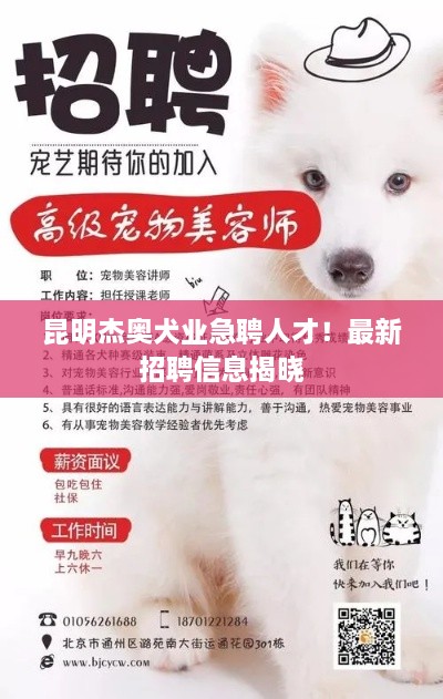 昆明杰奧犬業(yè)急聘人才！最新招聘信息揭曉