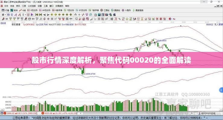 股市行情深度解析，聚焦代碼00020的全面解讀