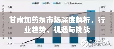 甘肅加藥泵市場深度解析，行業(yè)趨勢、機(jī)遇與挑戰(zhàn)