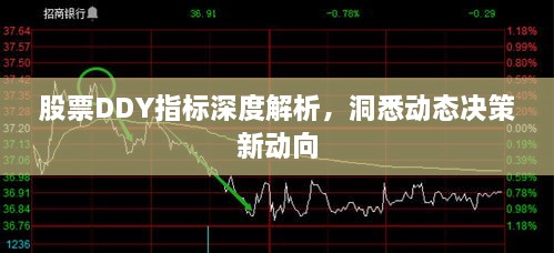 股票DDY指標(biāo)深度解析，洞悉動態(tài)決策新動向