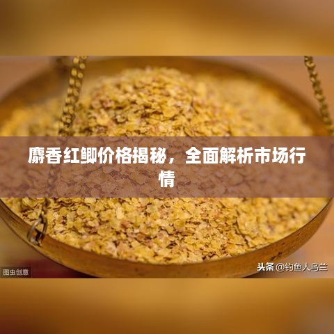 麝香紅鯽價(jià)格揭秘，全面解析市場(chǎng)行情