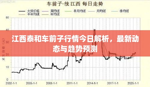 江西泰和車前子行情今日解析，最新動態(tài)與趨勢預測