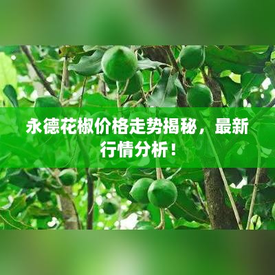 永德花椒價(jià)格走勢(shì)揭秘，最新行情分析！