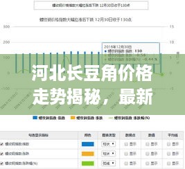 河北長(zhǎng)豆角價(jià)格走勢(shì)揭秘，最新行情分析報(bào)告！