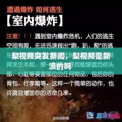 梨視頻突發(fā)新聞，梨視頻是新浪的嗎 