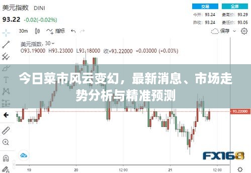 今日菜市風云變幻，最新消息、市場走勢分析與精準預測