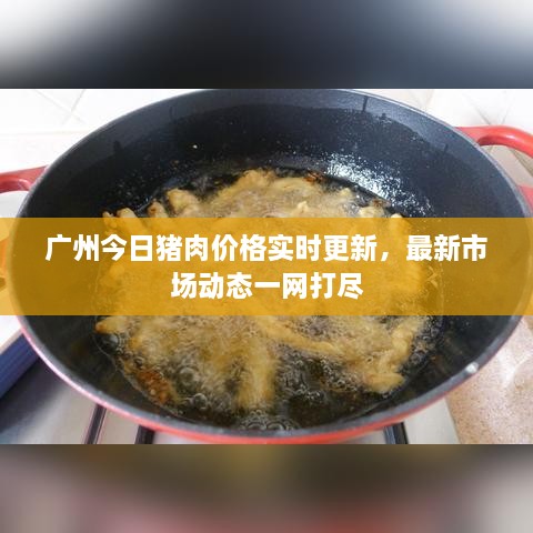 廣州今日豬肉價格實時更新，最新市場動態(tài)一網(wǎng)打盡