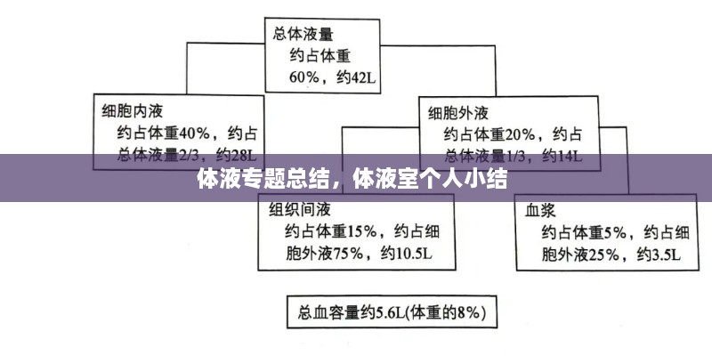 體液專題總結，體液室個人小結 