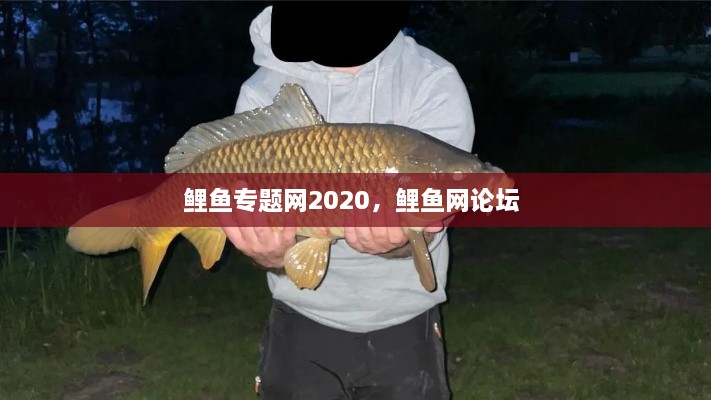 鯉魚專題網(wǎng)2020，鯉魚網(wǎng)論壇 