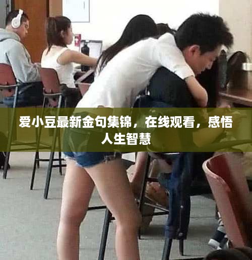 愛小豆最新金句集錦，在線觀看，感悟人生智慧