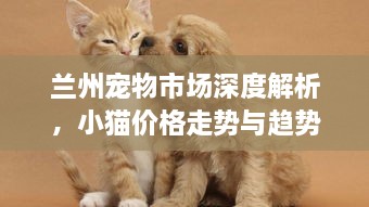 蘭州寵物市場深度解析，小貓價格走勢與趨勢探尋