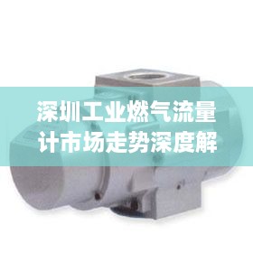 深圳工業(yè)燃?xì)饬髁坑?jì)市場(chǎng)走勢(shì)深度解析