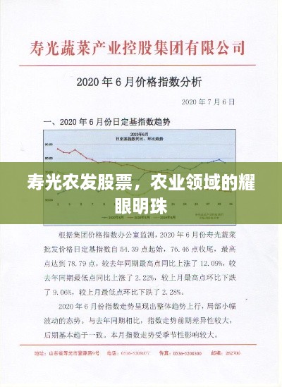 壽光農發(fā)股票，農業(yè)領域的耀眼明珠