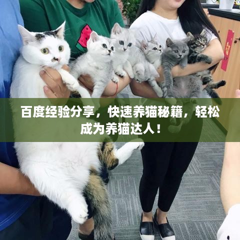 百度經(jīng)驗(yàn)分享，快速養(yǎng)貓秘籍，輕松成為養(yǎng)貓達(dá)人！