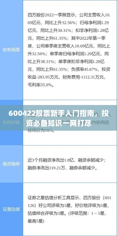 600422股票新手入門指南，投資必備知識一網打盡