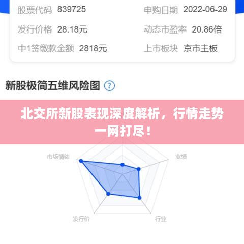 北交所新股表現(xiàn)深度解析，行情走勢一網(wǎng)打盡！