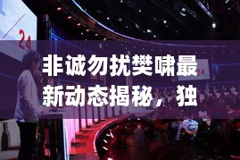 非誠勿擾樊嘯最新動態(tài)揭秘，獨(dú)家爆料吸引眼球！