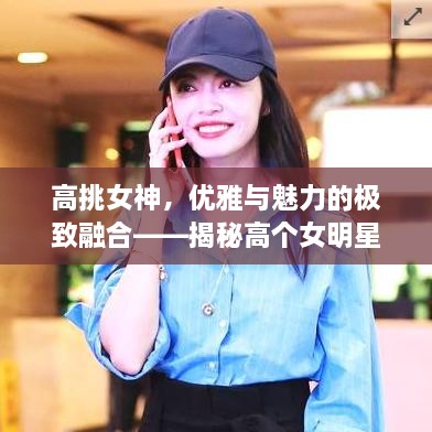 高挑女神，優(yōu)雅與魅力的極致融合——揭秘高個女明星的魅力風(fēng)采